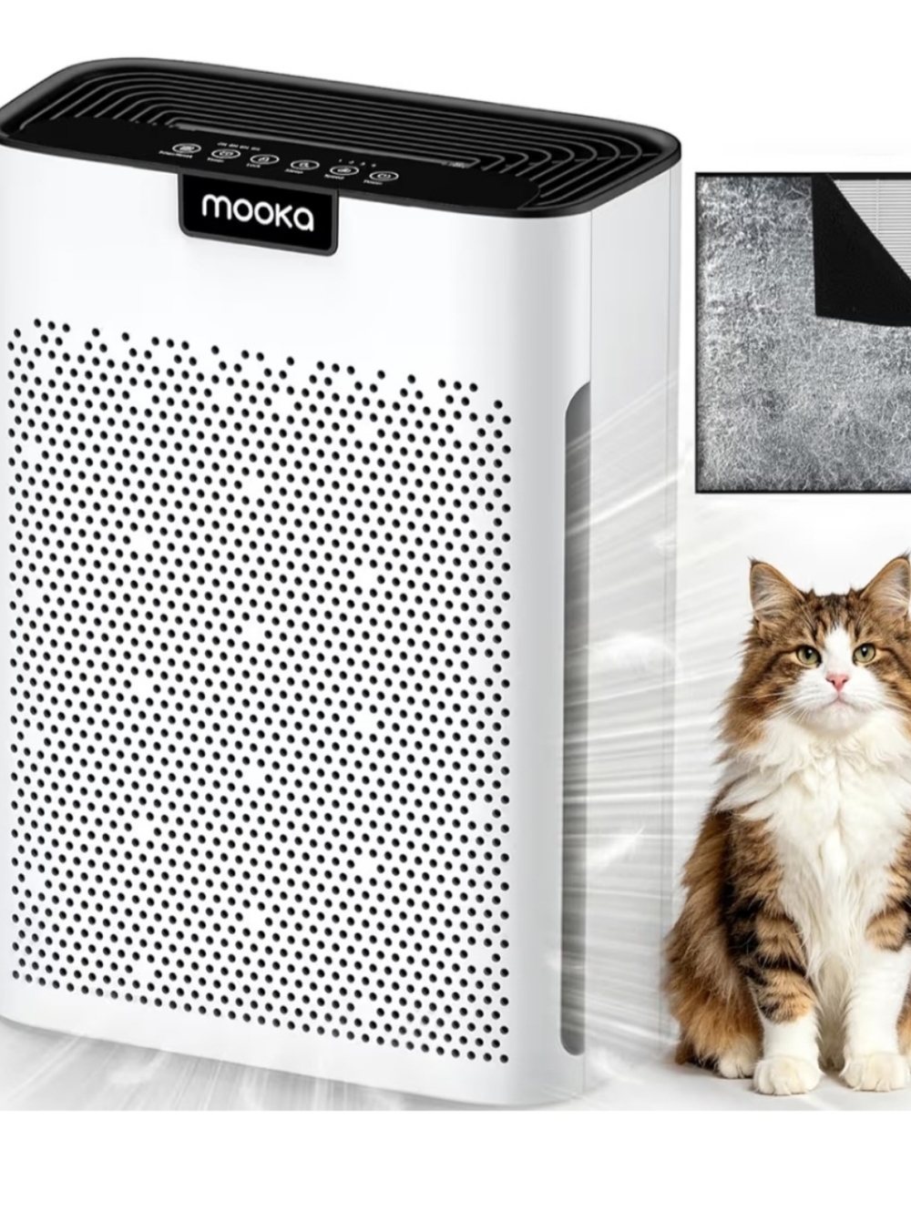 Air Purifier For Homes